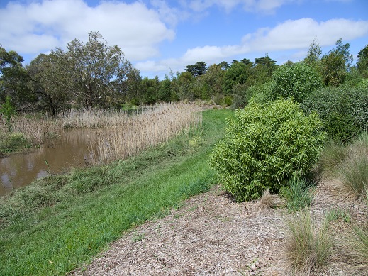creek photo